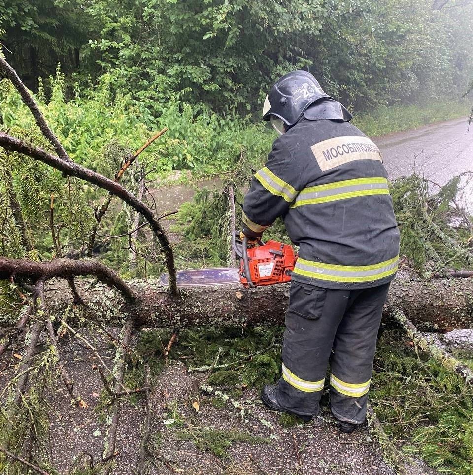 🌪 Последствия урагана «Орхан» ликвидировали работники ПСП ПСЧ-267 и ОП ПСЧ-270 #Мособлпожспас в городских округах Дмитровский и Солнечногорск