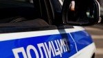 В Дмитрове сотрудники полиции задержали подозреваемых в краже мобильного телефона